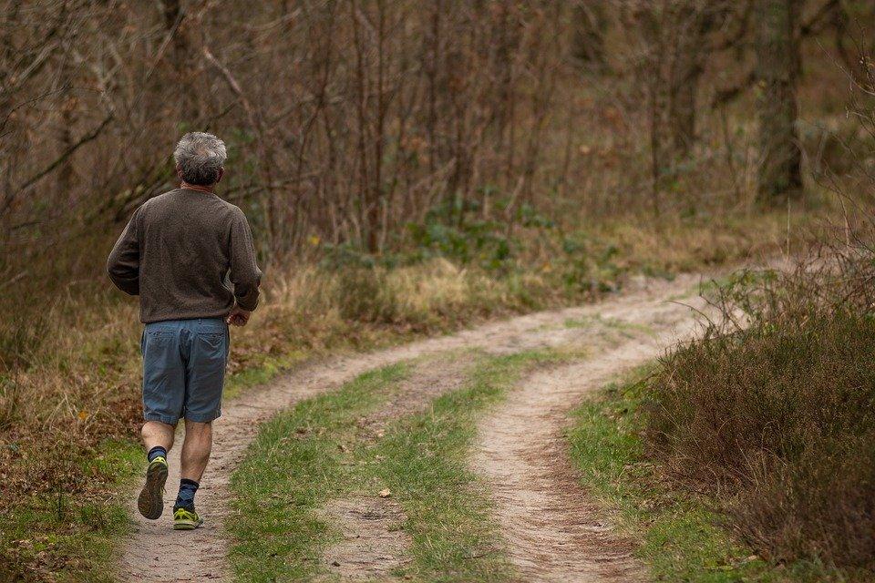Jogging, Trail, Forest, Man, Adult, Person, Wellness