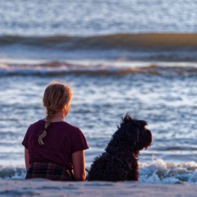 5 Small Towns That Are Perfect for Dog Lovers [2020]
