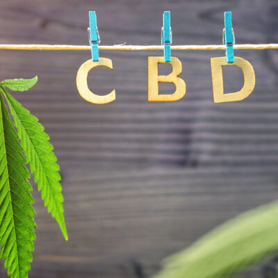 How CBD Works In Your Body: Step by Step