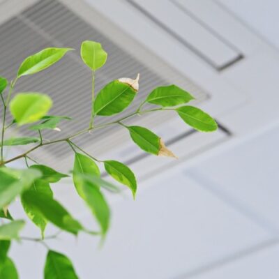 How to improve your indoor air quality in your house