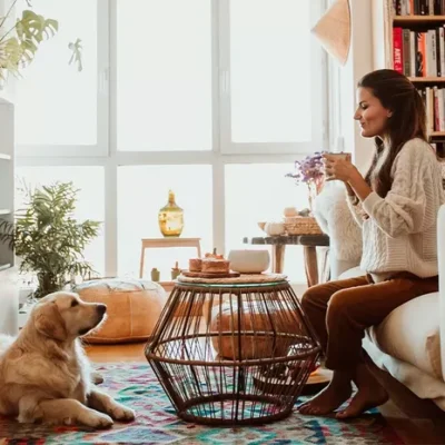 What do You need to Know About Pet-Friendly Apartments?