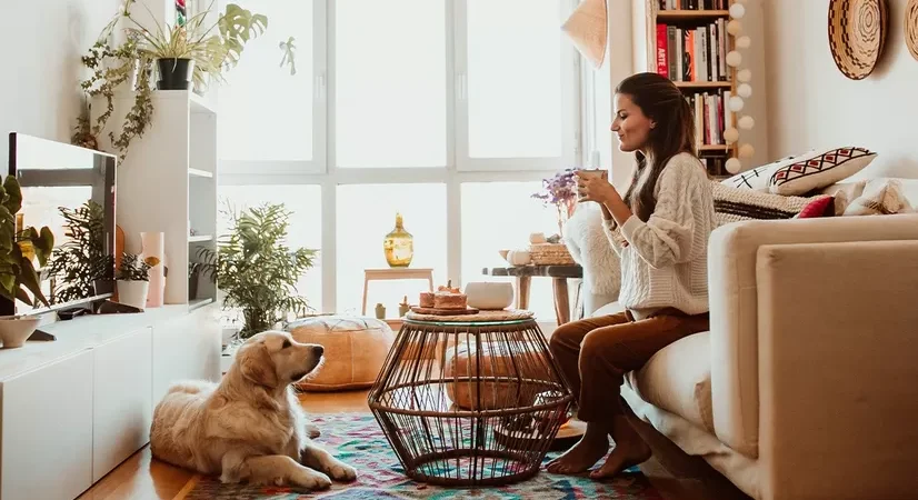 What do You need to Know About Pet-Friendly Apartments?