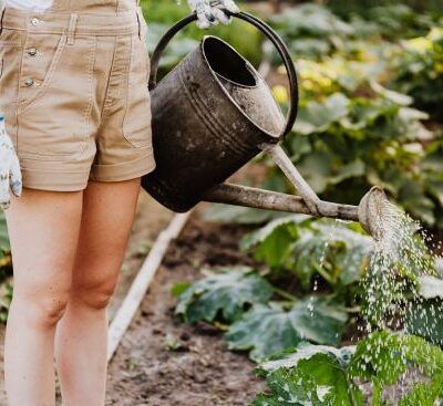 Seven Maintenance Tools You Need For A Garden