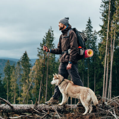 How To Prepare For A Summer Trail Adventure With Your Dog