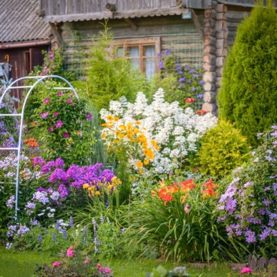 Learn the Best Horticulture Strategies to Start Your Garden